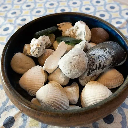 Rosabella - 600m From The Sea By Interhome Nedre Lysabild